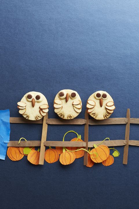 almond shortbread owls
