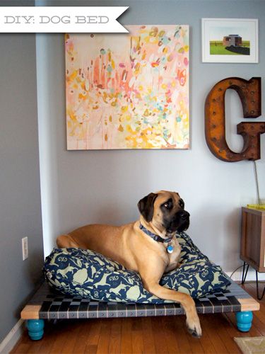 dog bed ideas for big dogs
