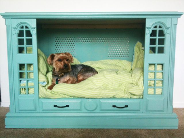 door, window, dog supply, furniture, canidae, dog breed, rectangle, pet supply, dog crate, dog bed, pet bed