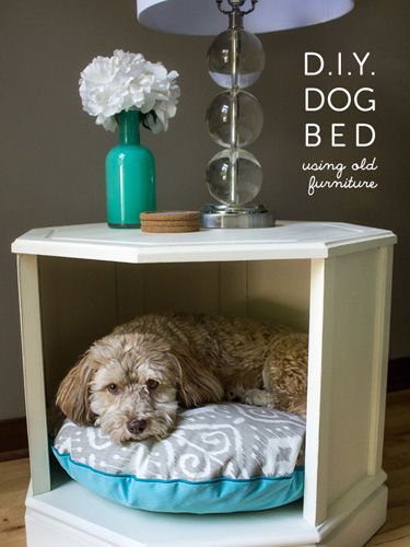 19 Adorable Diy Dog Beds - How To Make A Cute & Cheap Pet Bed