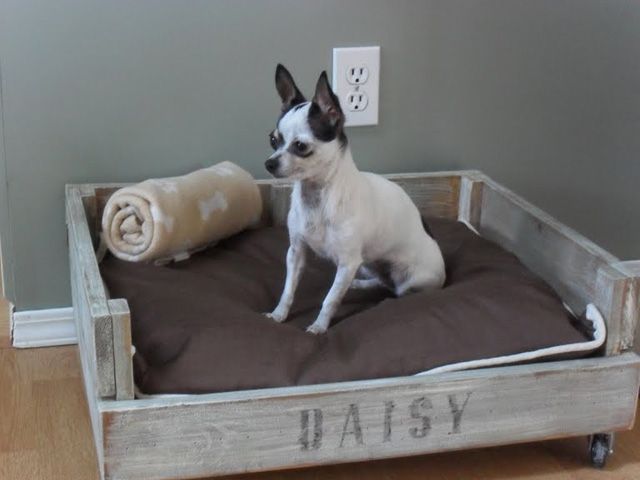 Diy raised shop dog bed wood