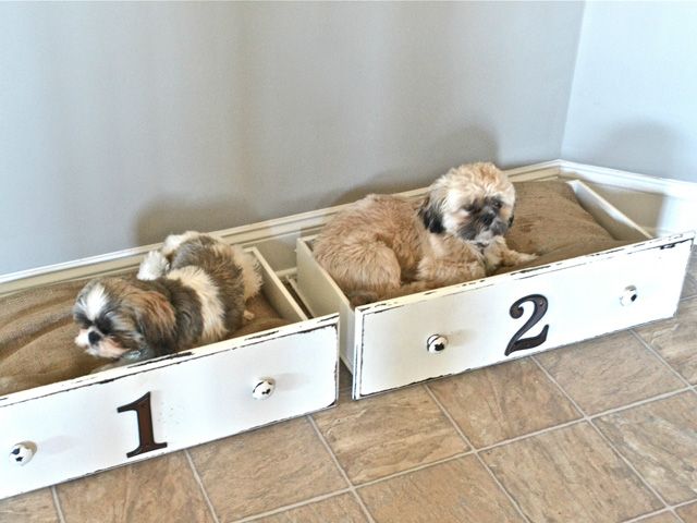 homemade dog bed patterns
