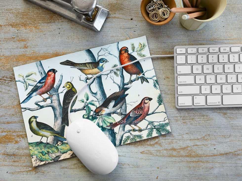 illustrated birds mouse pad