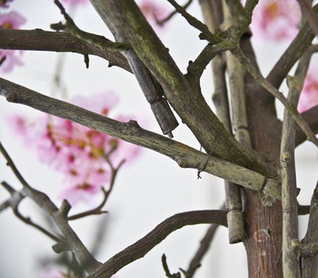 Beste DIY: je eigen Japanse bloesemboom NU-85