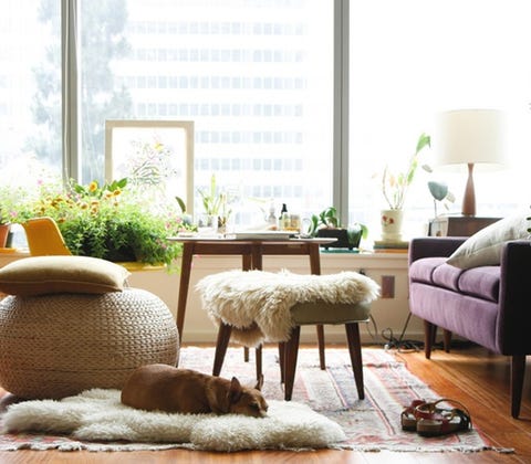https://hips.hearstapps.com/cnl.h.cdn.cosmopolitan.nl/assets/14/52/nrm_1419515870-10x-interieurinspiratie-schapenvacht.jpg?resize=480:*
