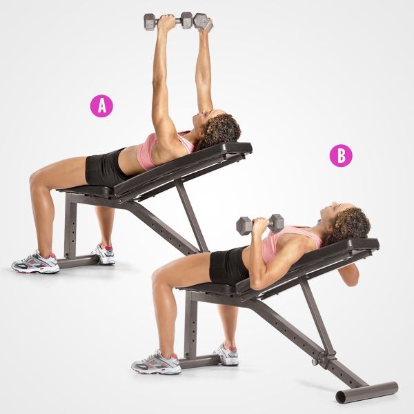 Weights, Exercise equipment, Shoulder, Physical fitness, Arm, Bench, Leg, Joint, Dumbbell, Gym, 