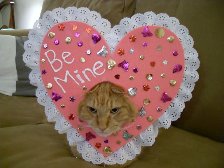 Kat Valentijnsdag Be Mine