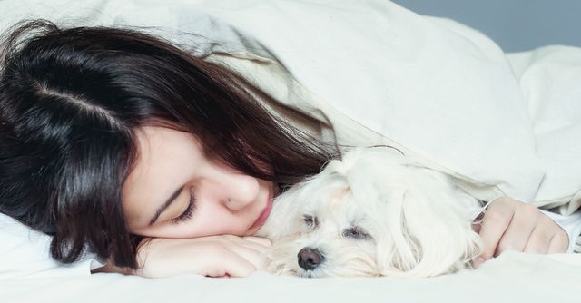 Vrouw met hond in bed