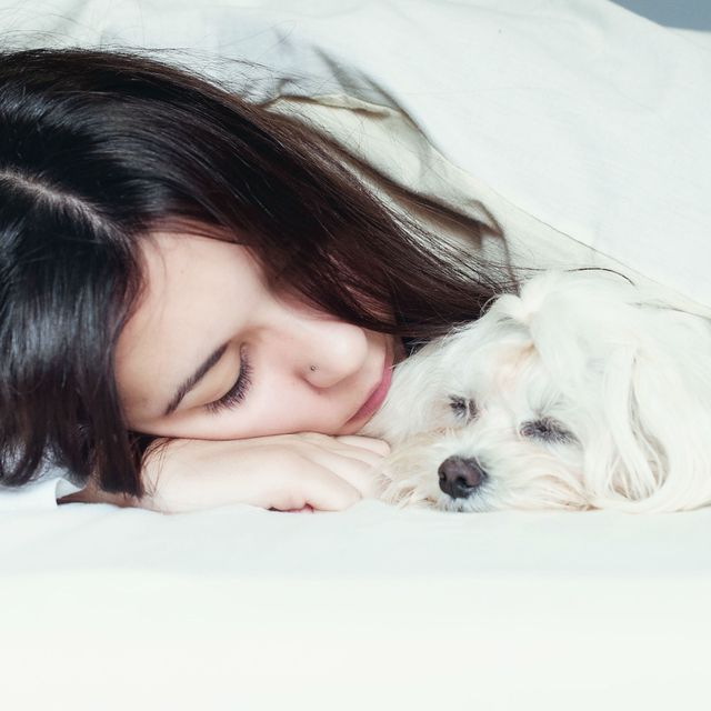 Vrouw met hond in bed