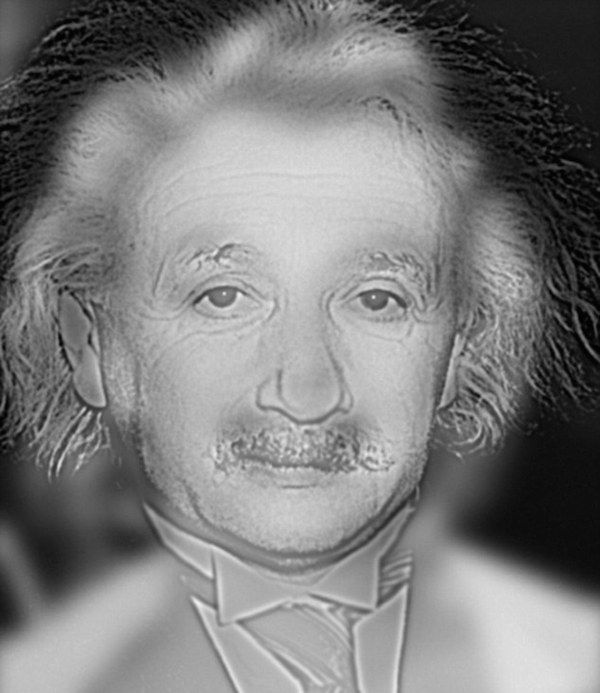 Optische illusie Einstein Marilyn Monroe