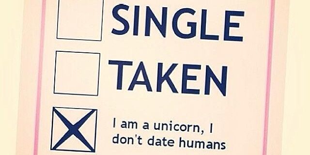 single bezet unicorn