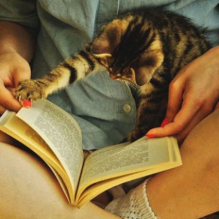 boek lezen kat