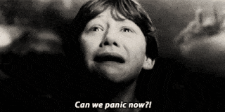 Ron Weasley paniek spinnen