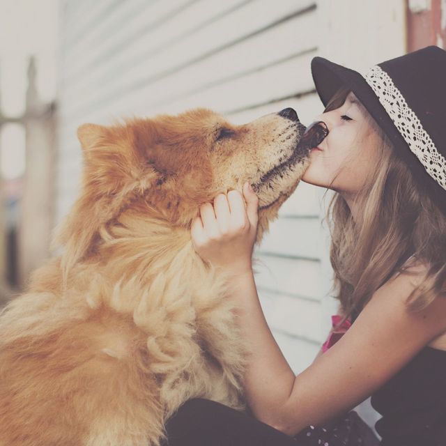kus-aan-hond-geven