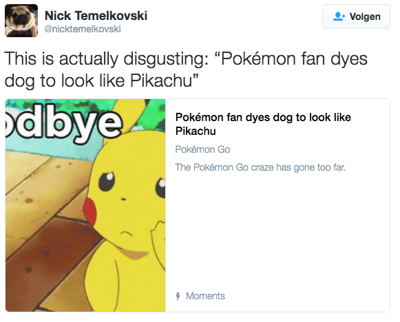 Pokémon tweet pikachu hond