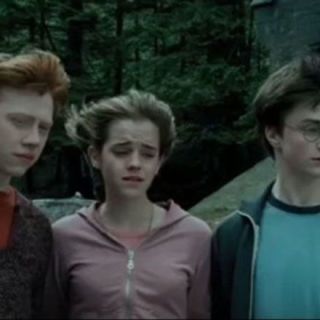 Harry, Ron en Hermione