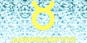 Jaarhoroscoop-2017-Stier