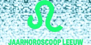 Jaarhoroscoop-2017-Leeuw