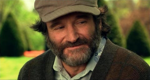 Robin Williams Movies That Defined Your Childhood Robin Williams Ocarina of time 3d edition with his. robin williams movies that defined your