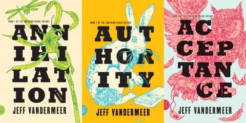 Image result for jeff vandermeer
