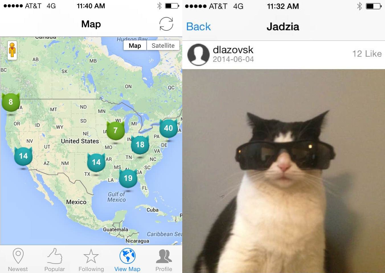 cat dating app dating spoof