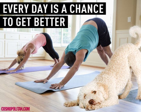 10 Fit-spirational Animals to Help You Kill It at the Gym in 2015