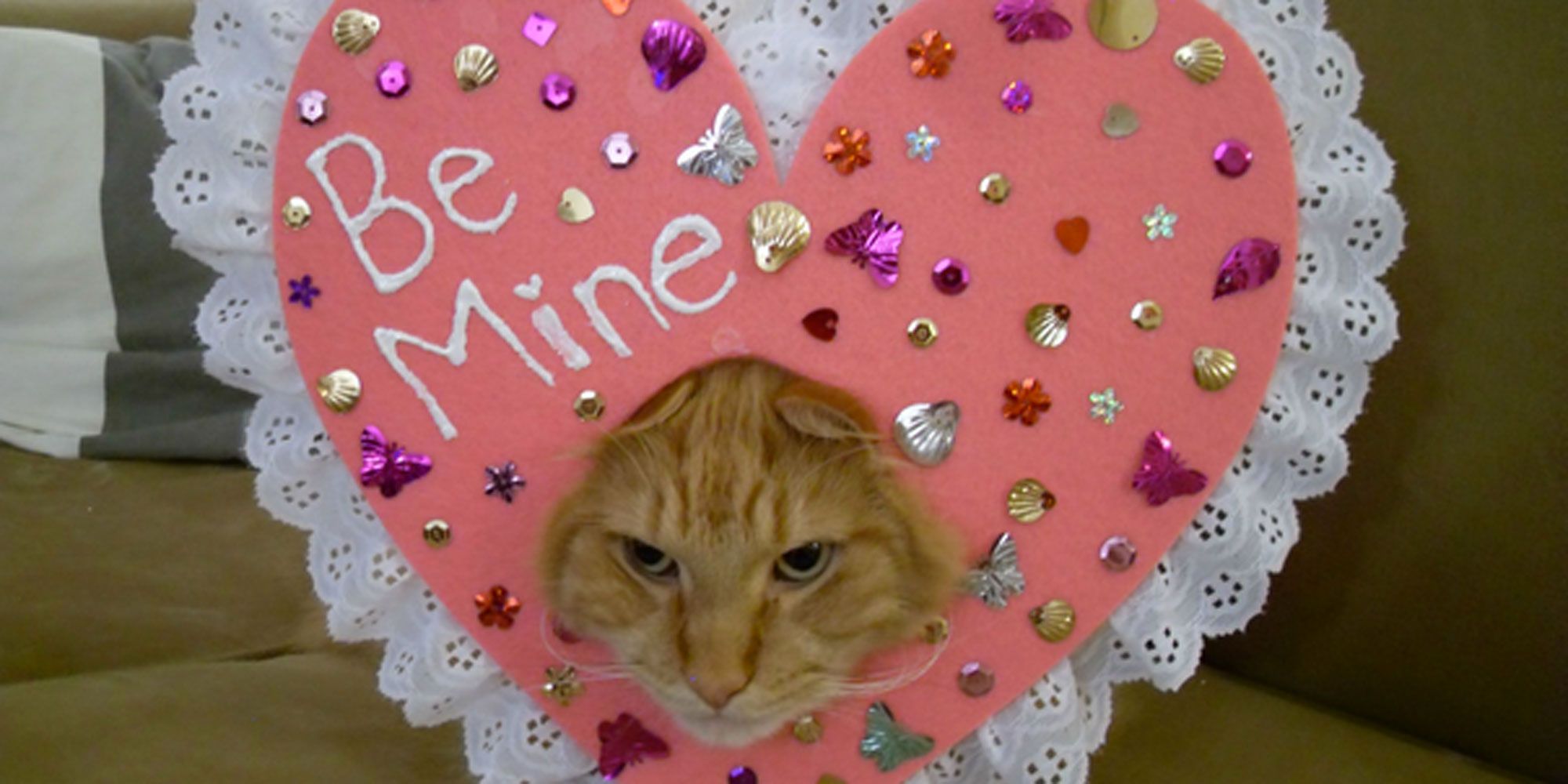 2019 year - The 15 Worst Valentines Day Fails on the Internet 2019 year