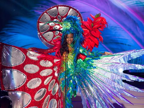 All the Crazy National Costumes at the Miss Universe Pageant