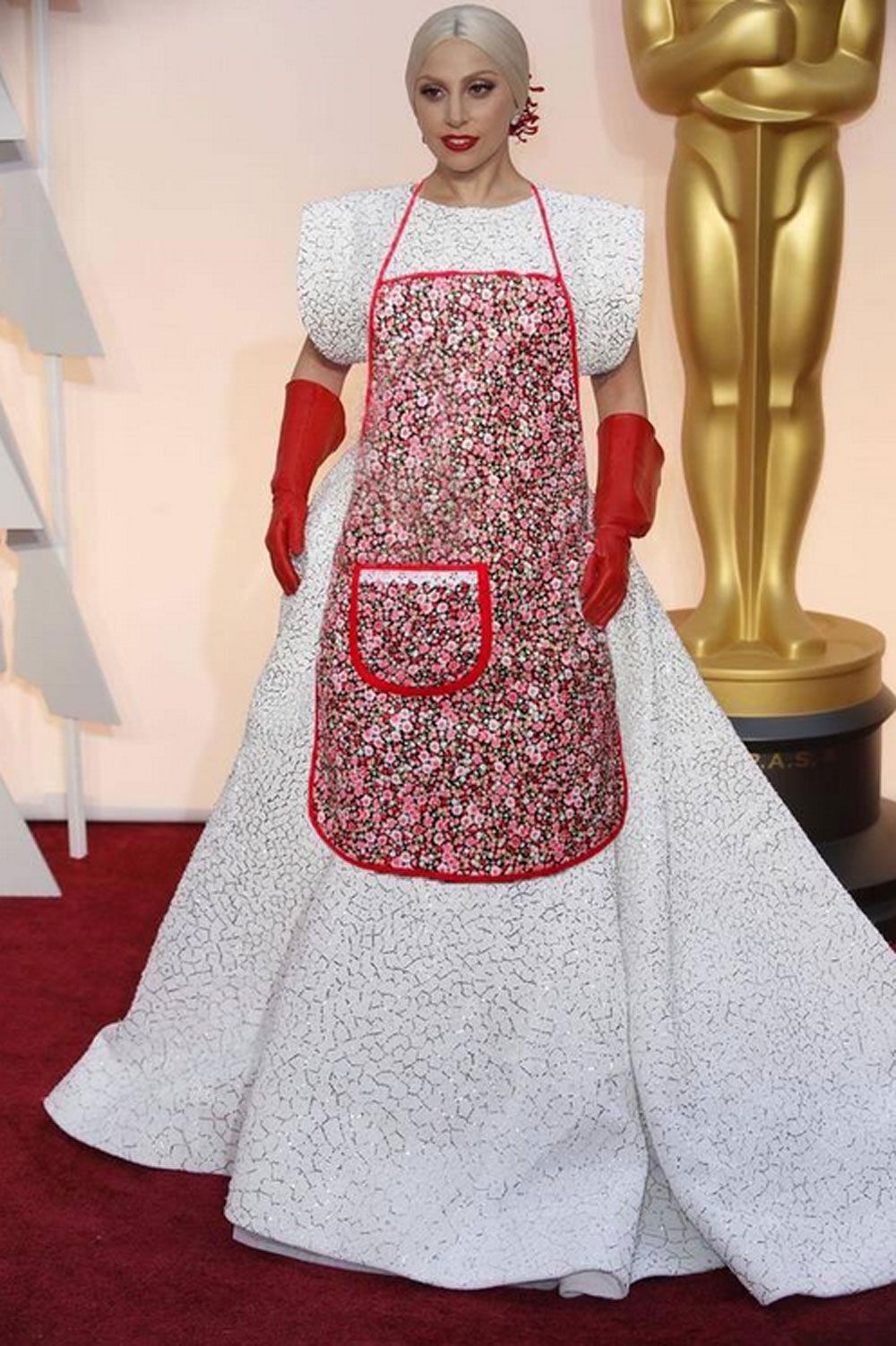 nrm_1424665247-lady-gaga-apron.jpg