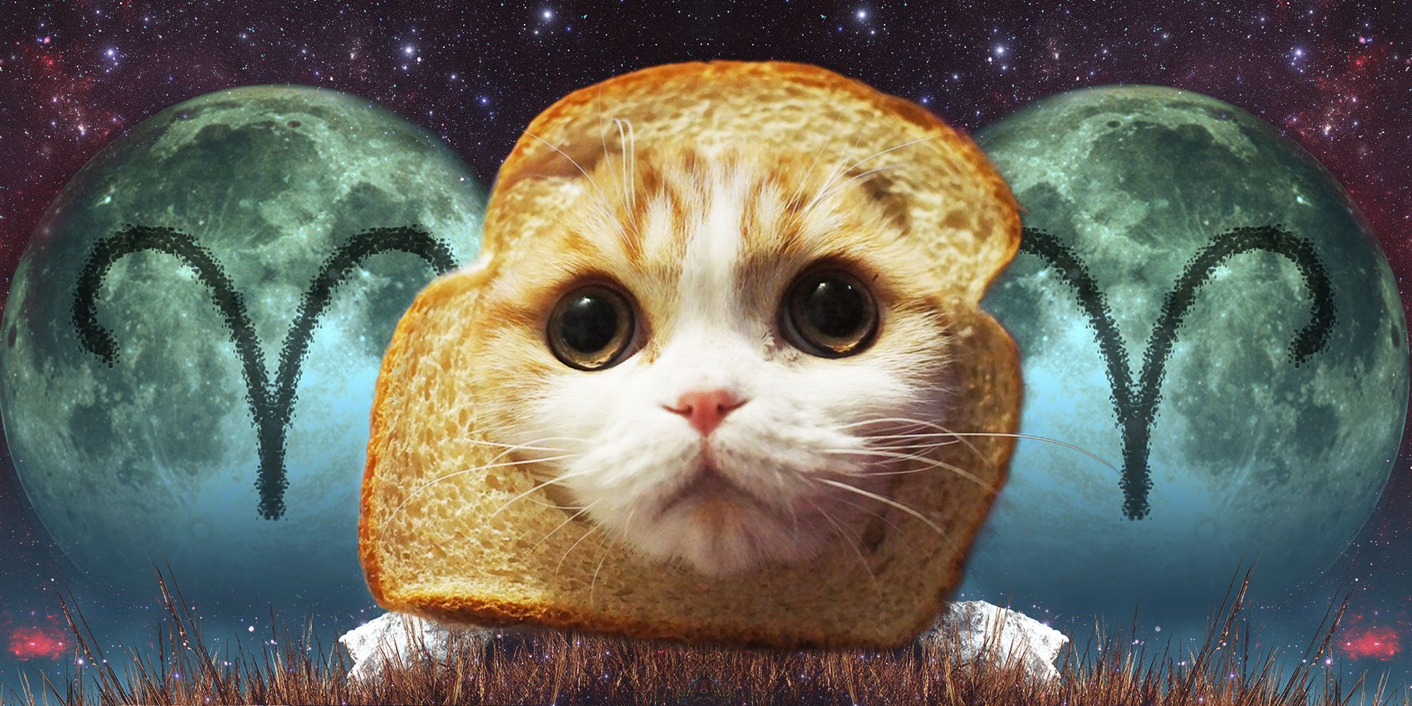 Your Horoscope And Spirit Kitty For The Week Of March 29