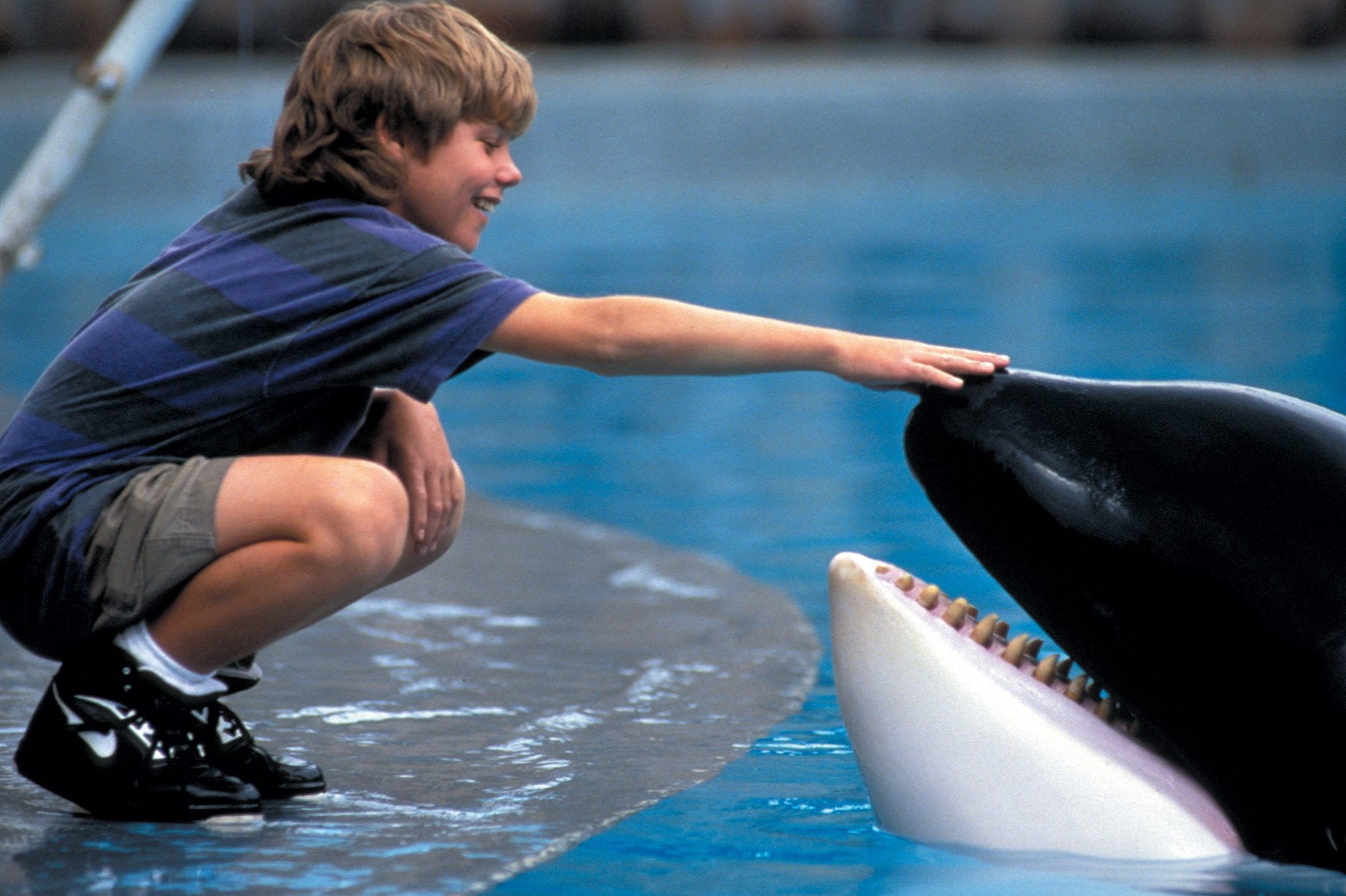 free willy 2 free online