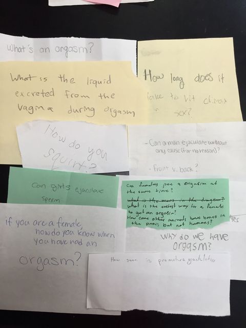 9th Grade Sex Porn - 16 Types of Questions 9th Graders Have for Their Sex Ed Teacher