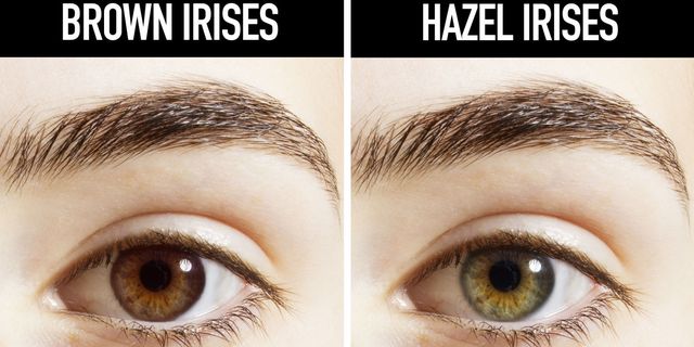 Eyes of different kinds hazel Eye Color
