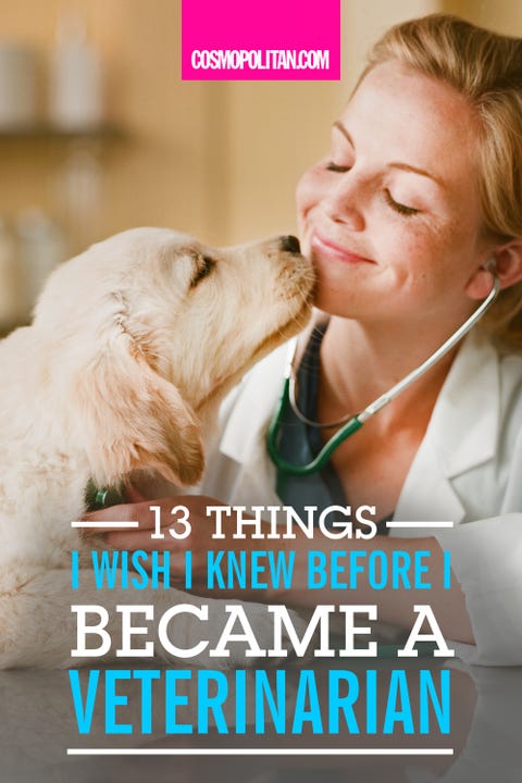 Becoming A Veterinarian