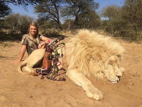 cheerleading hunter kendall jones dressed as walter palmer for halloween