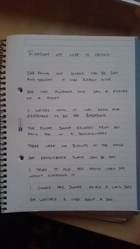 man posts hilarious list of all the random things that make his wife cry