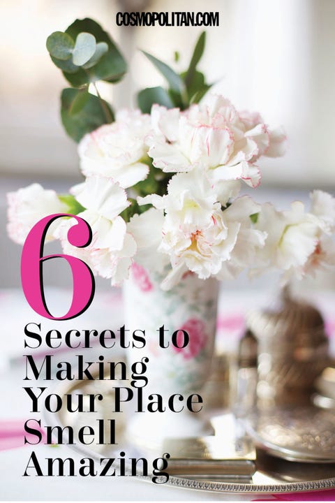 6 Secrets To Making Your Place Smell Amazing All The Time 6 Secrets To Making Your Place Smell Amazing All The Time