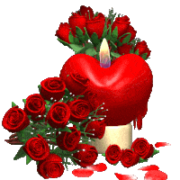 Petal, Red, Flower, Cut flowers, Flowering plant, Carmine, Rose family, Garden roses, Rose order, Bouquet, 