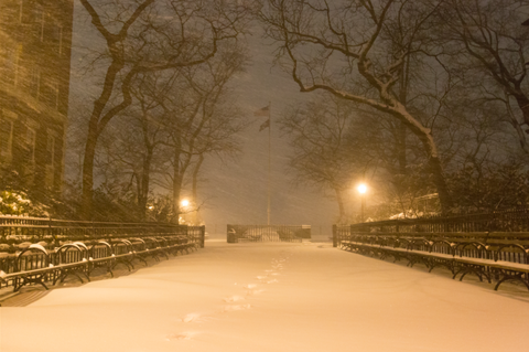 Winter, Atmospheric phenomenon, Tree, Street light, Freezing, Light, Guard rail, Iron, Snow, Bridge, 
