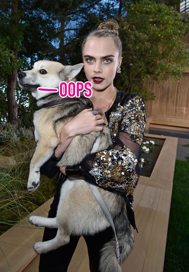 Cara Delevingne's Dog Peed On The Chanel Couture Catwalk