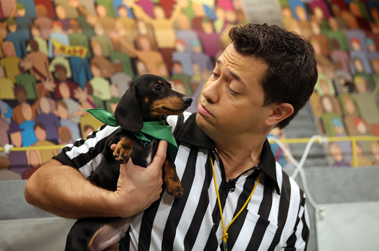 adopt puppies from the puppy bowl