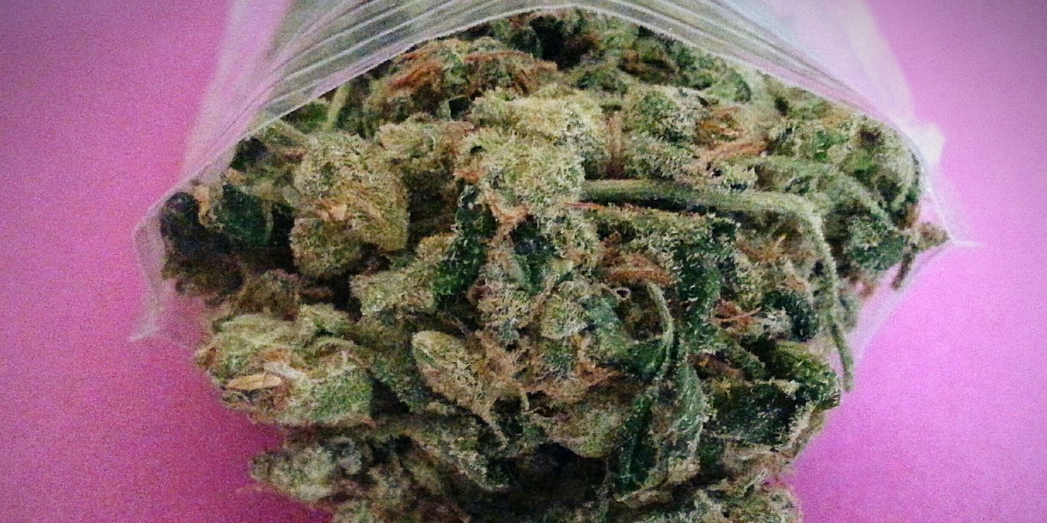 after day daily 2 g cannibus weed after day daily 2 g cannibus weed