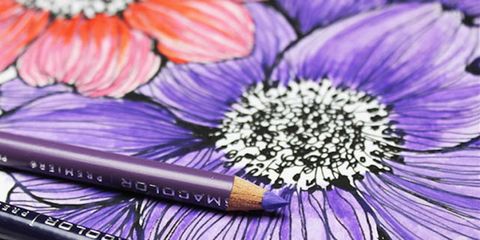 Blue, Writing implement, Violet, Purple, Colorfulness, Petal, Flower, Lavender, Pink, Stationery, 