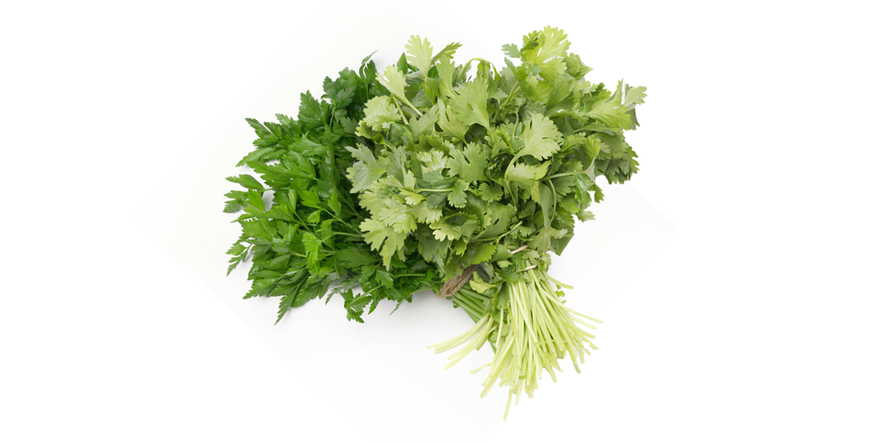 parsley-cilantro