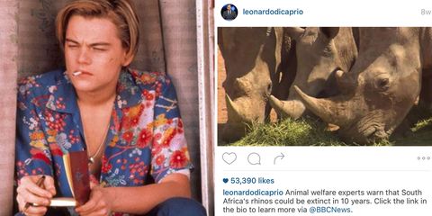 Leonardo DiCaprio Instagram Poetry