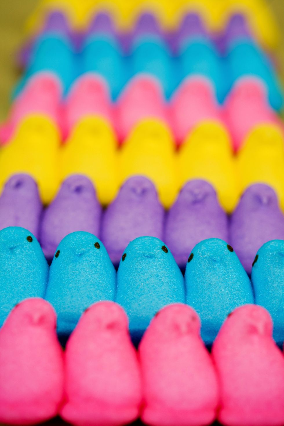 Colorfulness, Pink, Peeps, Sweetness, Purple, Confectionery, Dessert, Food additive, Natural material, 