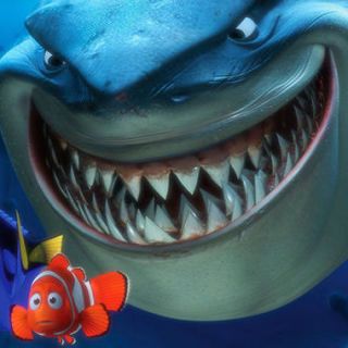 Flying nemo and shark online