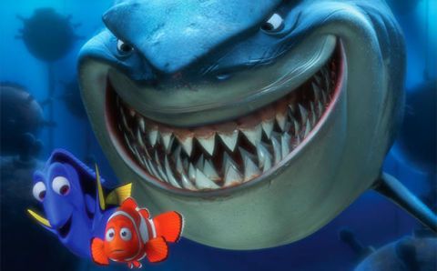 There's no need to worry about sharks off the Jersey Shore. (Unless your  name is Nemo.) 