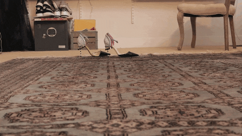 Floor, Flooring, Carpet, Shadow, 
