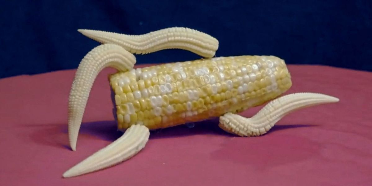 Take a gander at this sexy corn husk. 